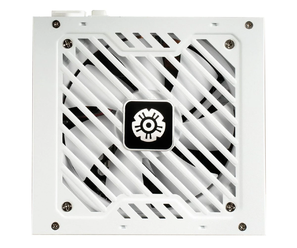 Enermax Revolution III S 1000W 80 Plus Platinum (ERV1000P-AHP-W) EU