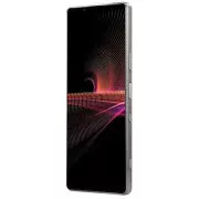 Sony Xperia 1 III 12/512GB Frosted Gray