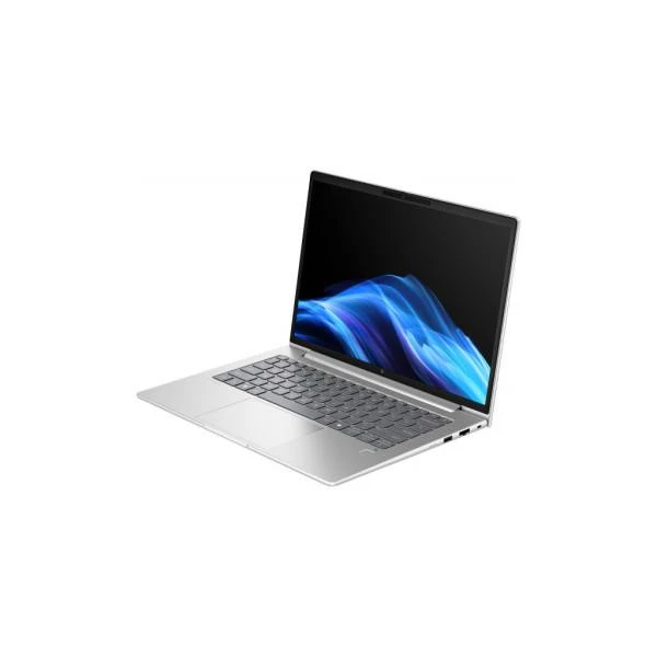 HP EliteBook 6 G1a Pike Silver (AY4Z7AV_V9) (UA)