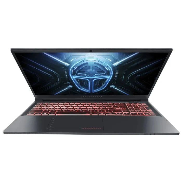 Thunderobot R16 (R16-i9139HX57C1Q300RG16) (UA)