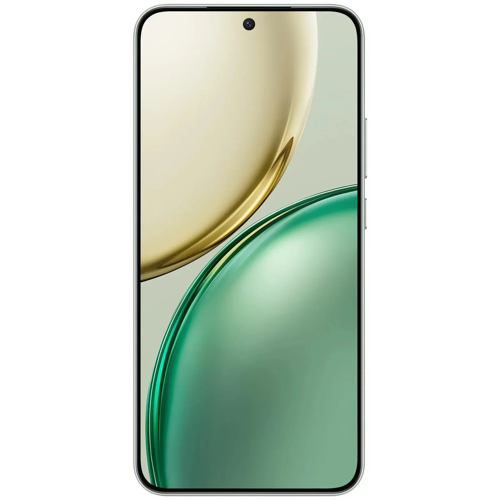 Honor X9d 12/256GB Forest Green Europe