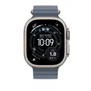 Apple Anchor Blue Ocean Band - Natural Titanium Finish для Apple Watch 44/45/46/49mm (MGCC4)