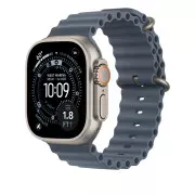 Apple Anchor Blue Ocean Band - Natural Titanium Finish для Apple Watch 44/45/46/49mm (MGCC4)