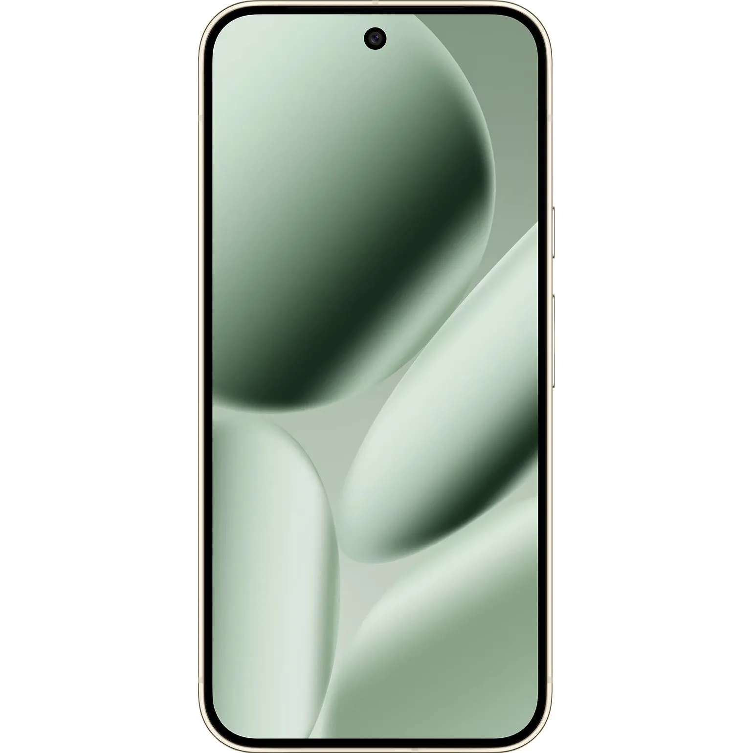 Google Pixel 10 Pro XL 16/256GB Jade (eSIM) (GA10432-US) Дисплей: 6.8 / OLED (2992x1344 точек)