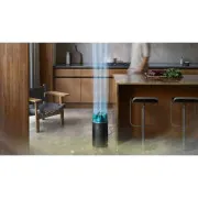 Dyson HushJet Purifier Compact HJ10 Black/Teal (491338-01)
